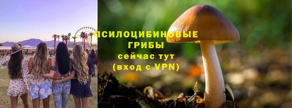 винт Дмитровск