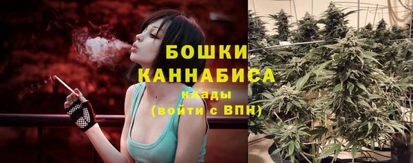 винт Дмитровск