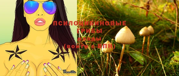 mix Дмитров